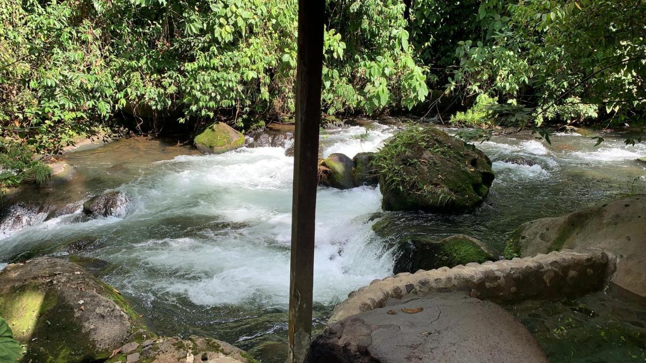 Casa Vitality Bed And Breakfast - Playa Guiones, Nosara - 4 Minute Walk To The Beach 外观 照片